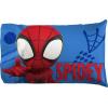 Jay Franco Kids Sheet Set with Fitted, Flat Sheets & Pillow Cover – Ultra-Soft Bedding with Pillowcase for Room Decor, White – Bluey, 4 Piece Full(White – Spidey & Friends)