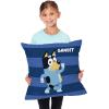 NORTHWEST Bluey Pillow, 18″ x 18″, Roll Call Bluey(Roll Call Bandit)