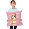NORTHWEST Bluey Pillow, 18″ x 18″, Roll Call Bluey(Roll Call Bingo)