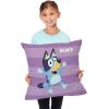 NORTHWEST Bluey Pillow, 18″ x 18″, Roll Call Bluey(Roll Call Bluey)