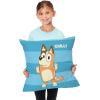NORTHWEST Bluey Pillow, 18″ x 18″, Roll Call Bluey(Roll Call Chilli)