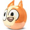 Northwest Bingo Cloud Pillow, Soft Bluey Character Plush Pillow, for Boys and Girls, 11″ x 11″(Bingo)