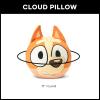 Northwest Bingo Cloud Pillow, Soft Bluey Character Plush Pillow, for Boys and Girls, 11″ x 11″(Bingo)
