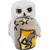 Northwest Bluey Character Hugger Pillow & Silk Touch Throw Blanket Set, 40″ x 50″, Hooray(Harry Potter – Hedwig Magic)