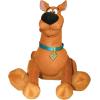 Northwest Bluey Character Hugger Pillow & Silk Touch Throw Blanket Set, 40″ x 50″, Hooray(Scooby Doo – Ruh Roh)