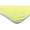 Northwest Bluey Micro Raschel Throw Blanket, 46″ x 60″, Family Photo(Family Photo)