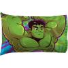 Jay Franco Bluey Hello 1 Single Reversible Pillowcase – Double-Sided Kids Super Soft Bedding (Official Bluey Product)(Green – Hulk)