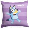 NORTHWEST Bluey Pillow, 18″ x 18″, Roll Call Bluey(Roll Call Bluey)