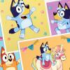 Hallmark Bluey Kids Birthday Card Assortment (16 Cards with Envelopes) Unicorn, Dance Mode, Hooray(Unicorn  Dance Mode  Hooray)