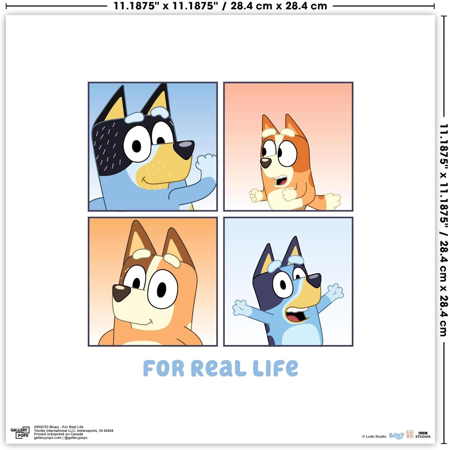 imageGallery Pops Bluey For Real Life Wall Art White Framed Version 12 x 12 Gallery Pops Wall ArtUnframed Version
