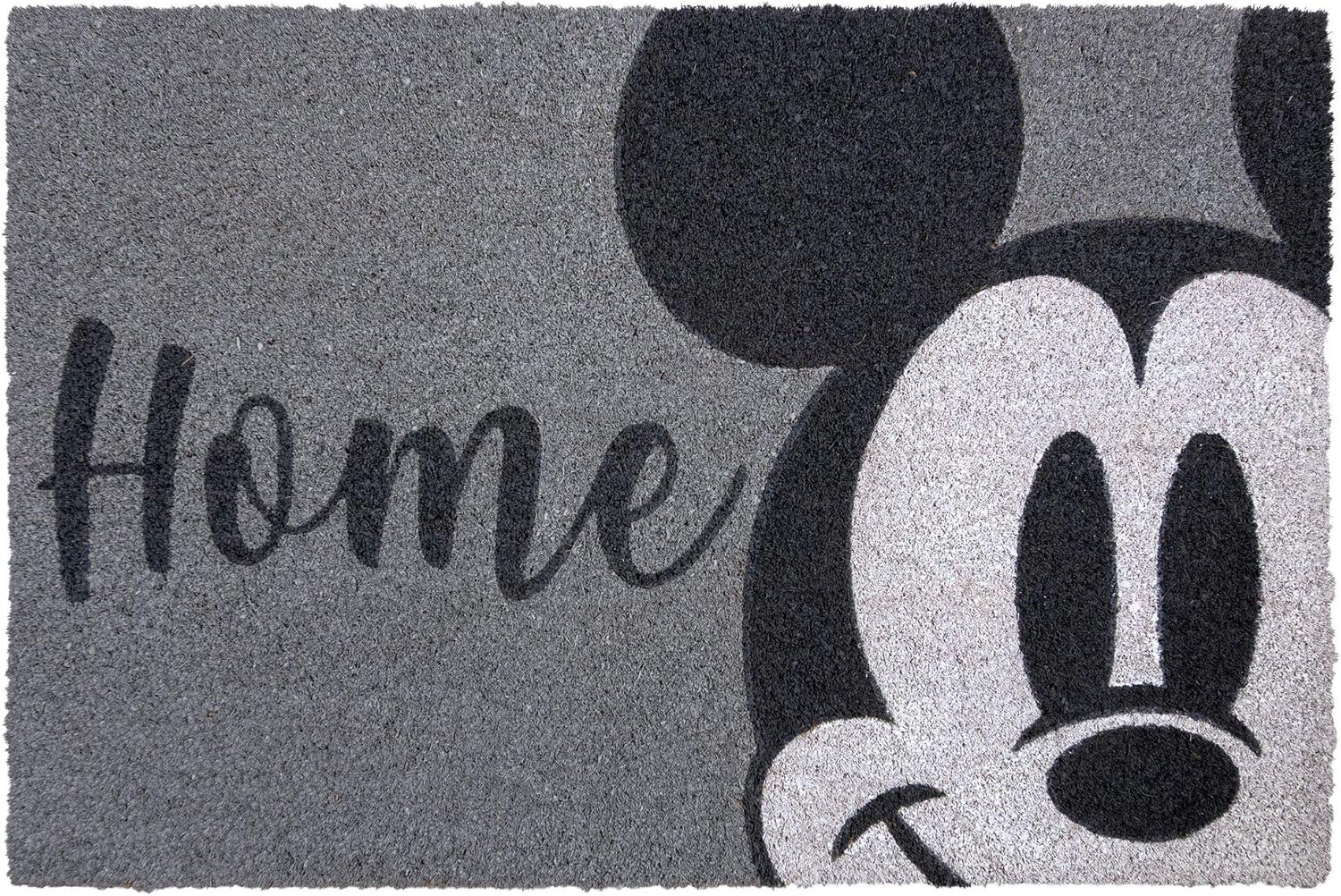 imageGertmenian Bluey Coir Doormat 2x3 Welcome Mat 2Pack Ideal for High Traffic Areas in Front Door Garage Entryway HiBluey Patch 80072Retro Mickey HomeWelcome