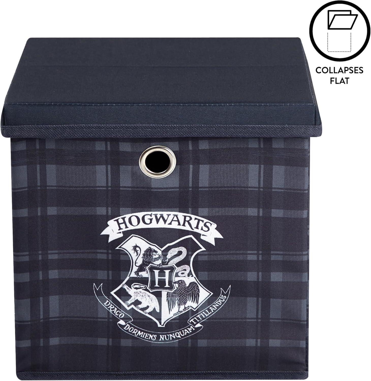 imageIdea Nuova Bluey Collapsible Fabric Storage Cube10 Organizer Bin with Lid for Bedroom Playroom and ClosetHarry Potter