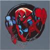 Bluey Canvas Wall Art – 4-Piece Set for Kids’ Room Décor, Each Print 12″x12″, Colorful and Fun Artwork for Bedroom, Nursery, or Playroom(Spiderman Amazing Power & Responsibility)