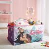 Bluey Collapsible Storage Trunk Durable Fabric Chest with Soft Lid, 28.5″x14.5″x16″,Kids Room Organizer(Raya and The Last Dragon)