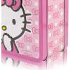 Fast Forward Bluey Lunch Box for Kids | Bluey Tin Lunchbag for Boys, Girls, Unisex | Tin Lunchbox Storage, Toddler Snack Box, Bookbag Accessory | Ages 3+(Hello Kitty)