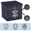 Idea Nuova Bluey Collapsible Fabric Storage Cube,10” Organizer Bin with Lid for Bedroom, Playroom, and Closet(Harry Potter)