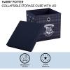 Idea Nuova Bluey Collapsible Fabric Storage Cube,10” Organizer Bin with Lid for Bedroom, Playroom, and Closet(Harry Potter)