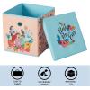 Idea Nuova Bluey Collapsible Fabric Storage Cube,10” Organizer Bin with Lid for Bedroom, Playroom, and Closet(Princess)