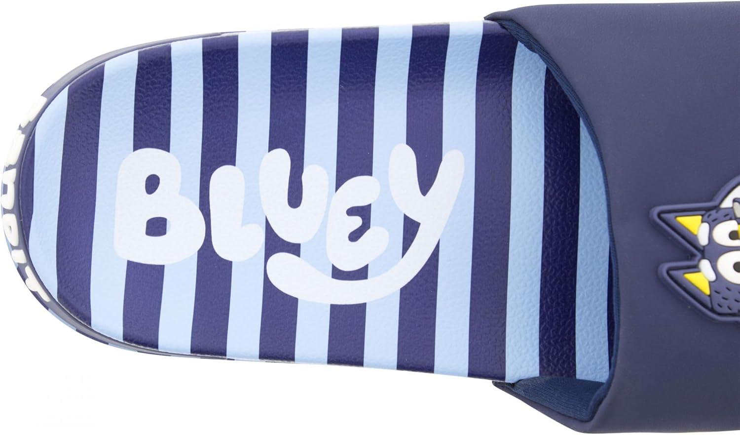 imageGround Up Bluey Bandit Dad Adult Slide SandalsBlue