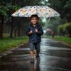 Bluey Umbrella for Kids