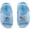 Bluey & Bingo Kids EVA Clog – Molded Open Toe EVA Clog for Boys & Girls Featuring, Bandit, Chilli & Bingo Shoes(Sky Blue)