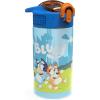 Zak Designs Bluey Kids Water Bottle Durable Plastic Spout Cover and Built-in Carrying Loop, Leak-Proof Water Design for Travel, (16oz, 2pc Set), 2pk(Bluey Bottle 2pk)
