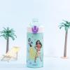 Zak Designs Bluey Sage Kids Water Bottle For School or Travel, 14oz Stainless Steel Water Bottle With Straw, Handle, and Leak-Proof, Pop-Up Spout Cover (Bluey & Bingo)(Disney Princess)