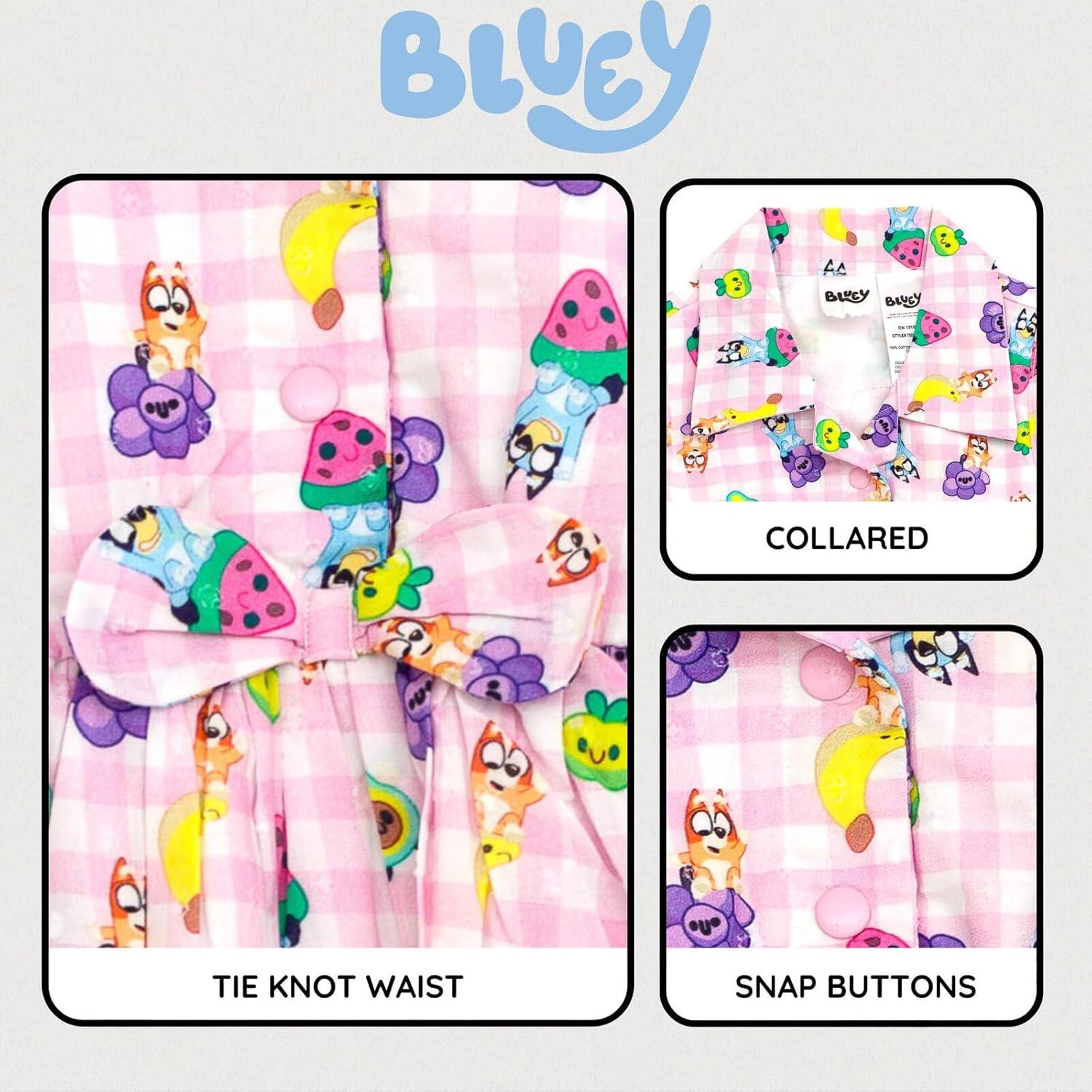 imageBluey Girls Gingham Swiss Dot Dress Toddler to Big Kid Sizes 2T 1012Pink