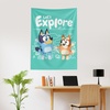 Northwest Bluey Happy Explorers Wall Hanging Tapestry, Nursery Playroom Decor, Lightweight Washable Fade Resistant, 40×57 inches(Bluey Happy Explorers)