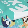 Northwest Bluey Happy Explorers Wall Hanging Tapestry, Nursery Playroom Decor, Lightweight Washable Fade Resistant, 40×57 inches(Bluey Happy Explorers)