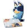 Northwest Bluey and Bingo Rainbow Cloud Pal and Throw Blanket Set, Soft 50 x 60 Inch Fleece Throw with 24 Inch Character Shaped Pillow, Cozy 2-Piece Gift Set for Bedroom or Travel(Bluey Sleeping)