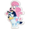 Northwest Bluey and Bingo Rainbow Cloud Pal and Throw Blanket Set, Soft 50 x 60 Inch Fleece Throw with 24 Inch Character Shaped Pillow, Cozy 2-Piece Gift Set for Bedroom or Travel(Bluey and Coco Bestie)