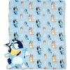 Bluey and Family Dance