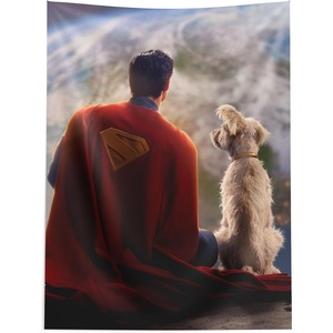 Northwest Bluey Happy Explorers Wall Hanging Tapestry, Nursery Playroom Decor, Lightweight Washable Fade Resistant, 40×57 inches(Superman World View)