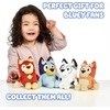 Bluey Friends 3 Pack Plush Toys, Winton, Honey and Mackenzie(Bluey & Bingo)
